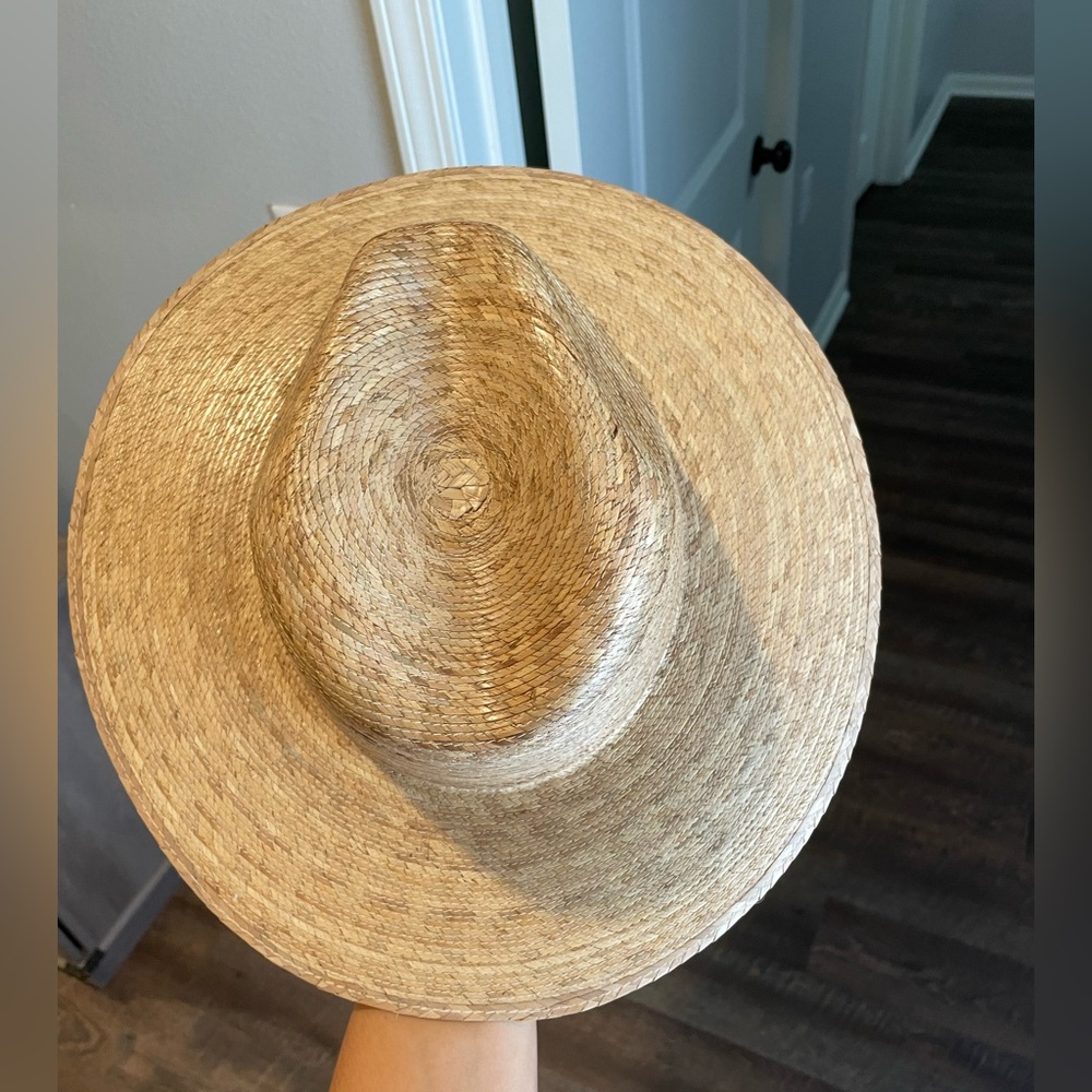Palma fedora - Picture 5 of 6